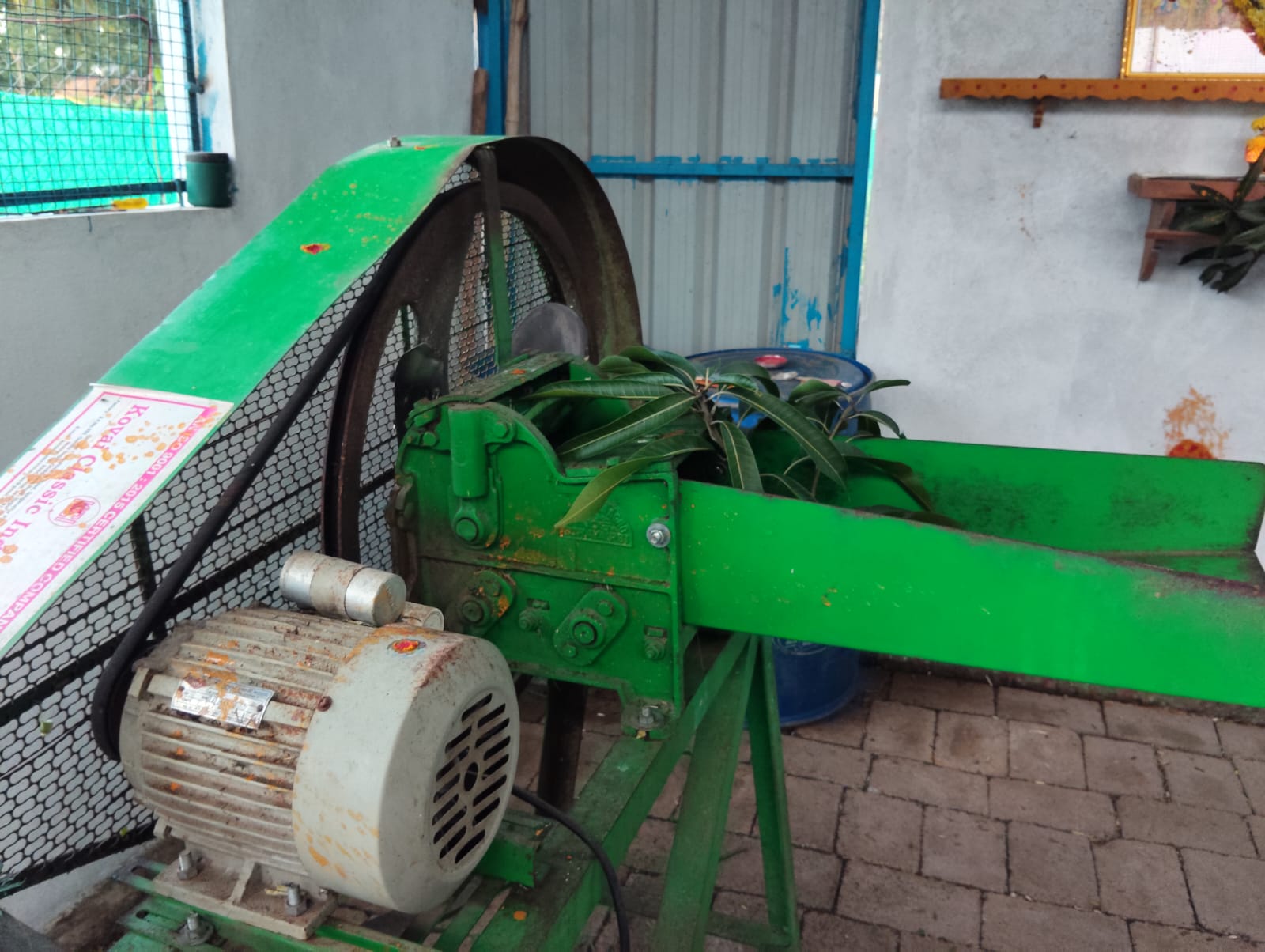 Fresh fodder being prepared for the animals